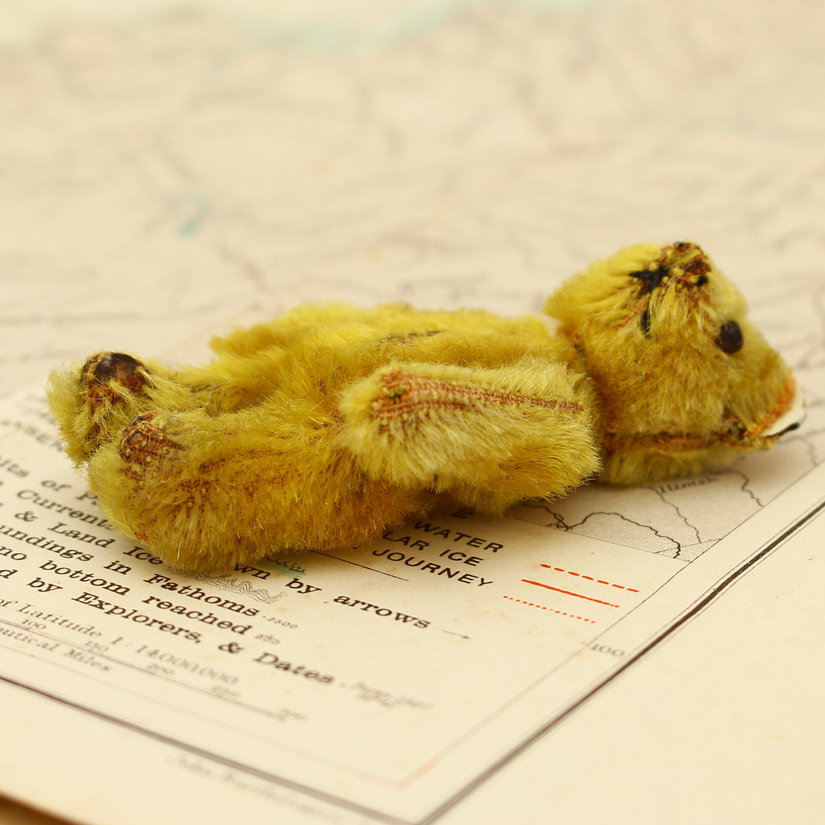 Toys & Juvenalia - a Schuco (Germany) miniature golden mohair jointed teddy bear, c.1930