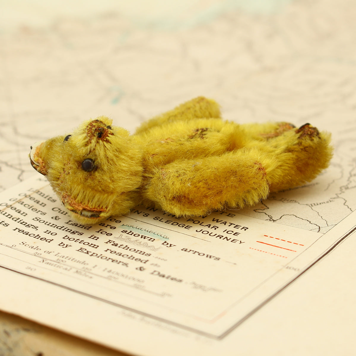 Toys & Juvenalia - a Schuco (Germany) miniature golden mohair jointed teddy bear, c.1930